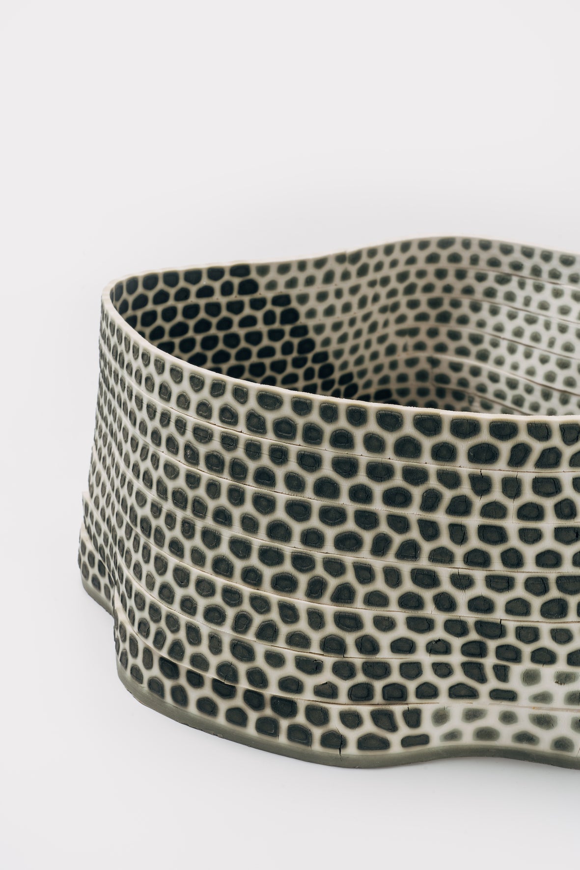 A Study of Cell Pattern on a Singular Vessel, 2021