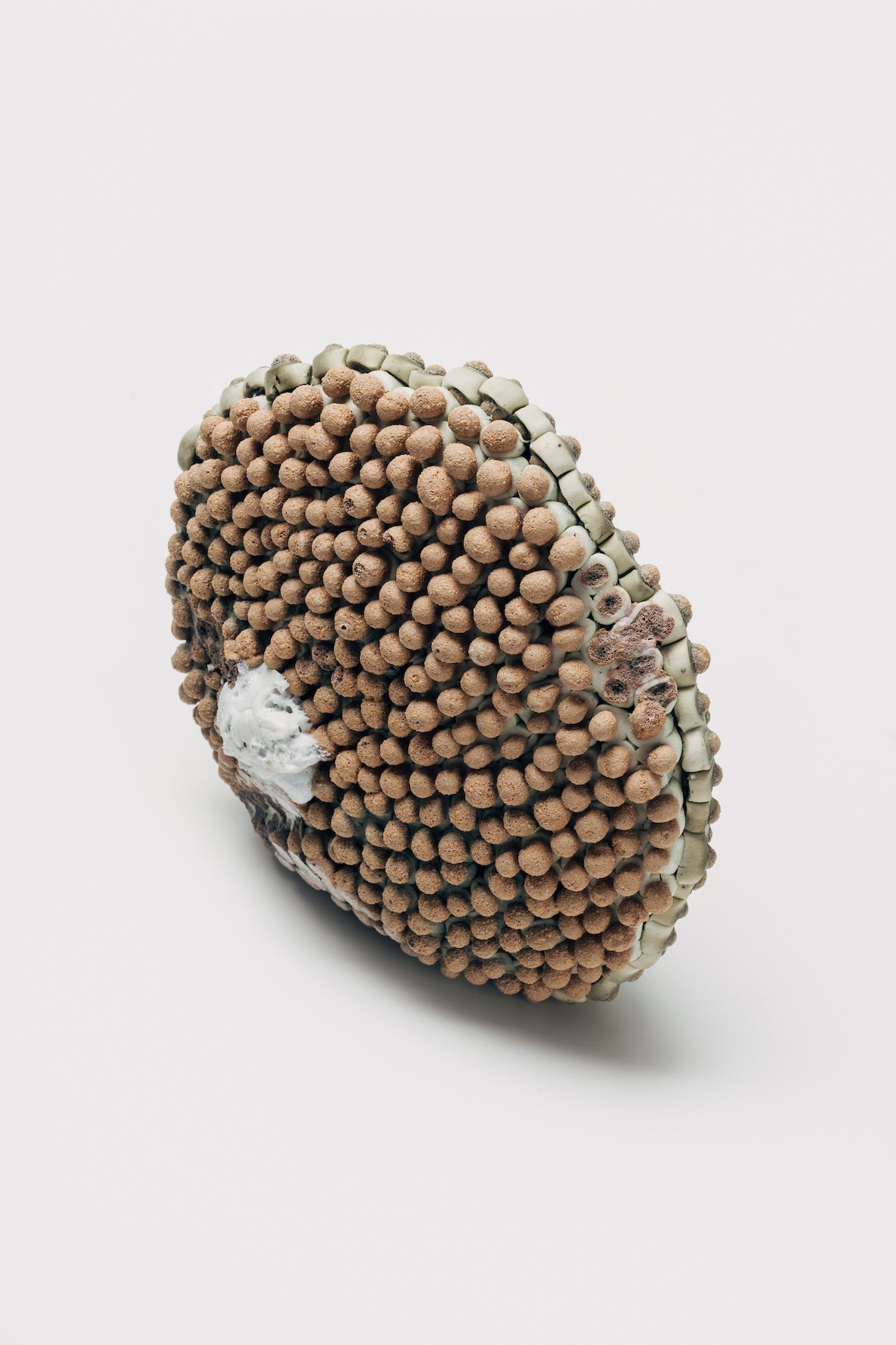 A Breath from the soil, 2021