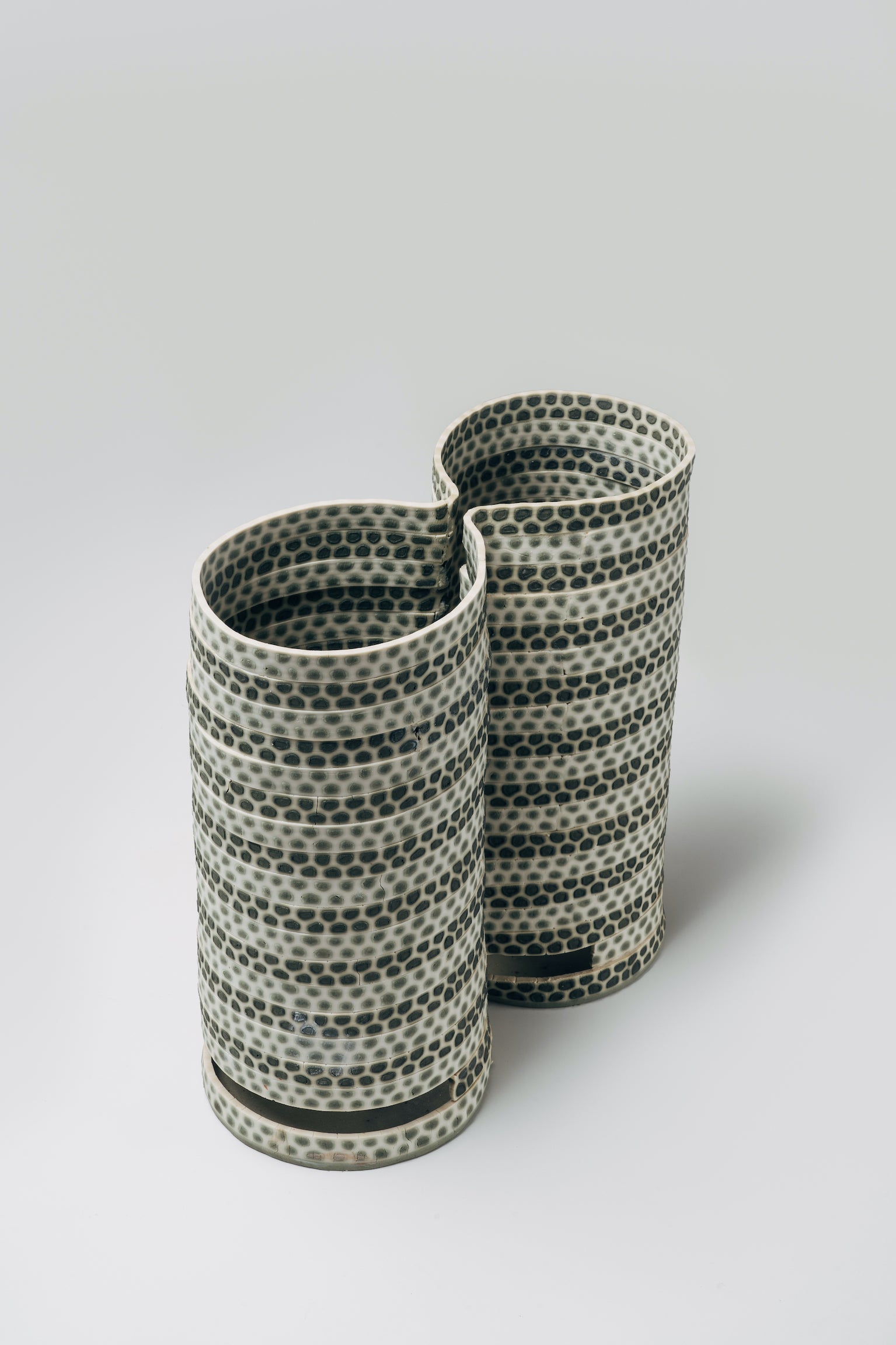 A Study of Cell Pattern on a Dual Vessel, 2021