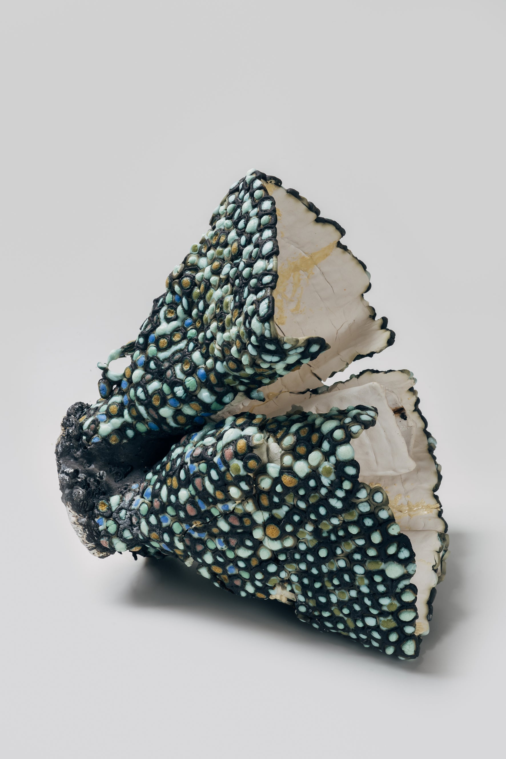 Beneath All the Lives, 2021